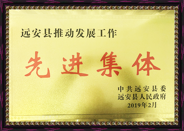 2018年度先进先进集体奖.png